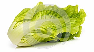 Set with leaves of butter lettuce isolated on white. Generative Ai