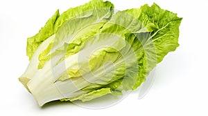 Set with leaves of butter lettuce isolated on white. Generative Ai