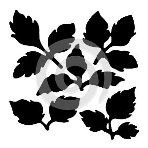 Set of Leaves Vector Icon Design On White Background