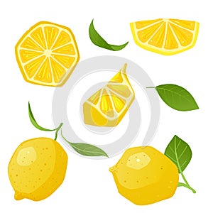 Set of lemon slice lemon fruit and leaf on white background. Vector illustration.