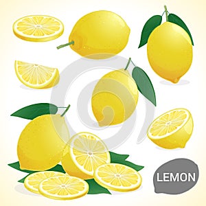 Set of lemon in various styles vector format