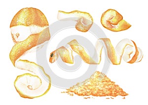 A set of lemon zest and peel. Watercolor illustration. Isolated on a white background. For your design packaging spices