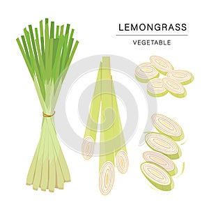 Set of Lemongrass Vegetable Slices. Organic and healthy food isolated element Vector illustration.