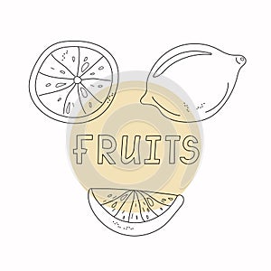 Set of lemons, fruits in doodle style. Whole citruses and slices.