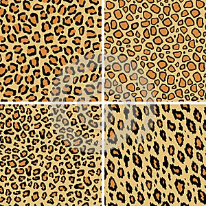 Set of leopard skin seamless pattern. Wild cat texture repeat. Abstract animal fur wallpaper. Contemporary backdrop