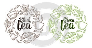 Set with lettering Black Green Tea. Vector vintage engraving