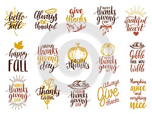 Set of lettering and illustrations for Thanksgiving Day. Vector drawn and handwritten labels of Happy Fall etc.