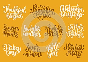 Set with lettering for Thanksgiving Day. Season Of Thanks, Pumpkin Pie, Thankful and Blessed, vector handwritten phrases