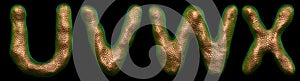 Set of letters U, V, W, X made of realistic 3d render natural gold snake skin texture.