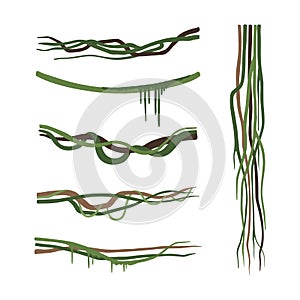 Set of lianas. Vine winding branches without leaves. Jungle tropical climbing plants cartoon vector illustration