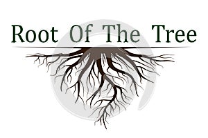 Set of Life tree with roots . Vector illustration icon isolated on white background