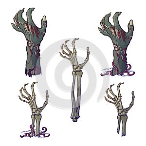 Set of lifelike depicted rotting zombie hands and skeleton hands rising