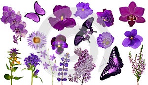 Set of lilac color butterflies and flowers