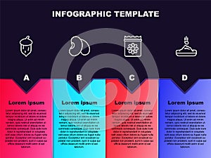 Set line Acorn, oak nut, seed, Beans, Pack full of seeds of plant and Seed. Business infographic template. Vector