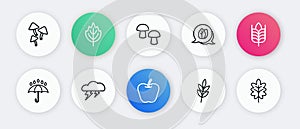 Set line Apple, Wheat, Umbrella and rain drops, Leaf, Mushroom, and Cloud lightning icon. Vector