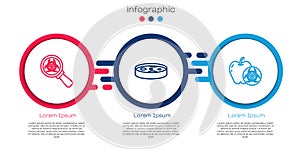 Set line Biohazard and magnifying glass, Petri dish with bacteria and Genetically modified apple. Business infographic