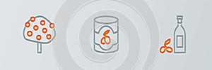 Set line Bottle of olive oil, Orange tree and Olives in can icon. Vector