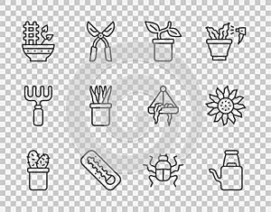Set line Cactus peyote in pot, Watering can, Plant, Meteorology thermometer, Beetle bug and Flower icon. Vector