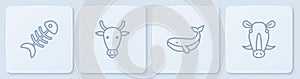 Set line Fish skeleton, Whale, Cow head and Wild boar. White square button. Vector