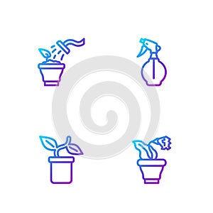 Set line Flower in pot, Plant, Spraying plant and Water spray bottle. Gradient color icons. Vector