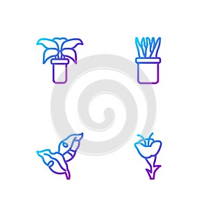 Set line Flower, Tropical leaves, Exotic tropical plant in pot and Plant. Gradient color icons. Vector