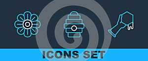 Set line Honeycomb and hand, Flower and Hive for bees icon. Vector