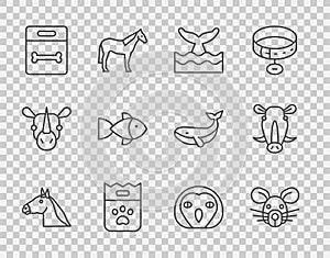 Set line Horse head, Rat, Whale tail in ocean wave, Bag of food, Dog bone, Fish, Owl bird and Wild boar icon. Vector