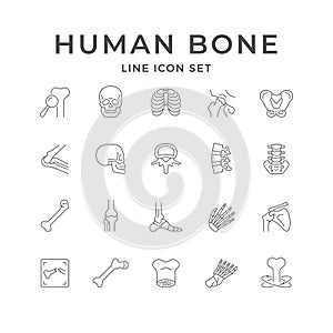 Set line icons of human bones