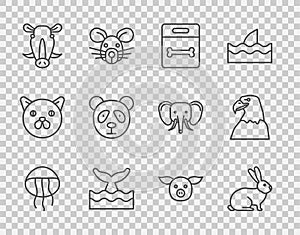 Set line Jellyfish, Rabbit, Dog bone, Whale tail in ocean wave, Wild boar head, Cute panda face, Pig and Eagle icon