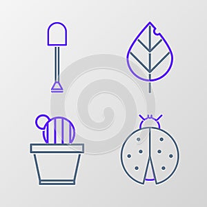 Set line Ladybug, Cactus and succulent in pot, Leaf and Shovel icon. Vector