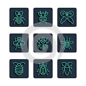 Set line Larva insect, Beetle bug, Cockroach, Butterfly, Mite, Insect, Chafer beetle and Mosquito icon. Vector