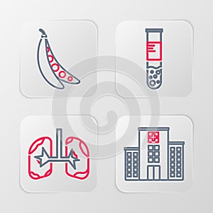 Set line Medical hospital building, Lungs, Test tube and flask and Kidney beans icon. Vector