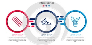 Set line Meteorology thermometer, Broken pot and Plant in. Business infographic template. Vector