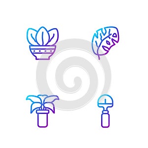 Set line Shovel, Exotic tropical plant in pot, Plant and Tropical leaves. Gradient color icons. Vector