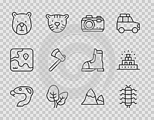 Set line Snake, Centipede insect, Photo camera, Tropical leaves, Bear head, Wooden axe, Mountains and Chichen Itza Mayan