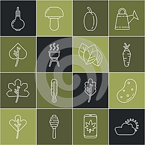 Set line Sun and cloud weather, Potato, Carrot, Plum fruit, Barbecue grill, Leaf or leaves, Onion and icon. Vector