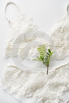 Set of lingerie, beige with black white ribbons. On white background decorated with green sprig of pistachios