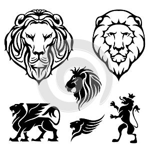 Set of lion