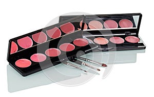 Set of lip gloss and cosmetic brushes isolated on white.