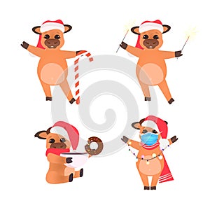 Set little oxes in santa hats celebrating happy new year cute cows mascot cartoon characters collection