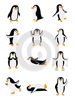 Set of little penguins in different poses. Funny animals isolated on white background. Cartoon characters vector