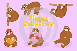 Set of little sloth beart in different poses. vector hand drawn cartoons illustration