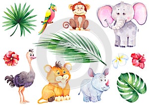 Set of little tropical animals.