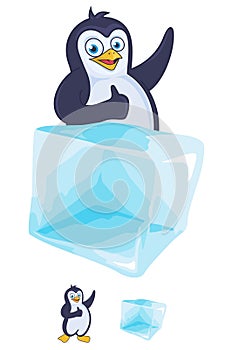 Set Logo Cold Penguin