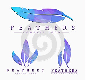 Set of logos of feathers