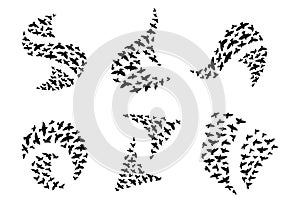 A set of logos from flying silhouettes of birds. Collection logo with a flock of birds. Vector illustration.