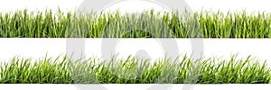 A set of long horizontal stripes of green grass cut out on a transparent background in PNG format. A strip of grass with
