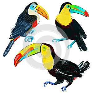 Set of lovely toucans from different angles on white background.