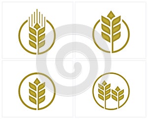 Set of Luxury Grain wheat logo concept, Agriculture wheat Logo Template vector icon