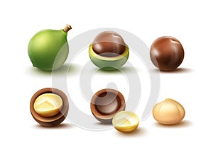 Set of macadamia nuts photo